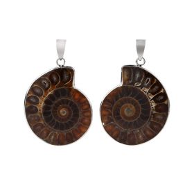 Natural Ammonite Fossil Snail Gemstone Pendant Charm Beads for Necklace Jewelry Making Crafts