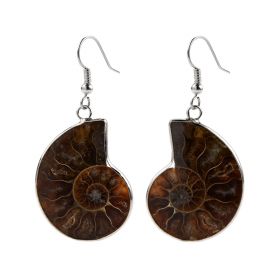 Ammonite Fossil Stone Charm Earrings with Copper Hooks Ammolite Cabochon Fashion Jewelry